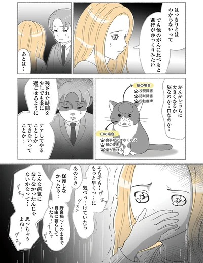 『にゃんかつ 11匹と2人の暮らし』より