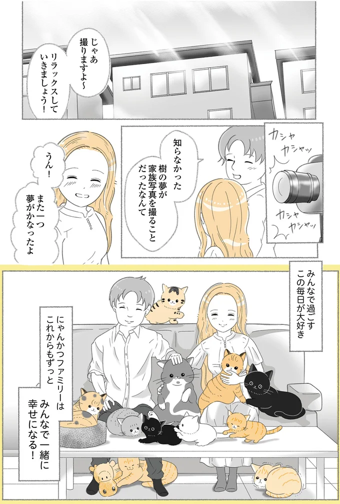 『にゃんかつ 11匹と2人の暮らし』より