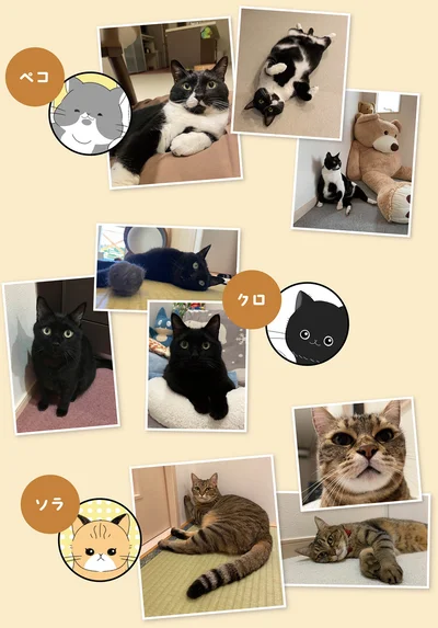 『にゃんかつ 11匹と2人の暮らし』より