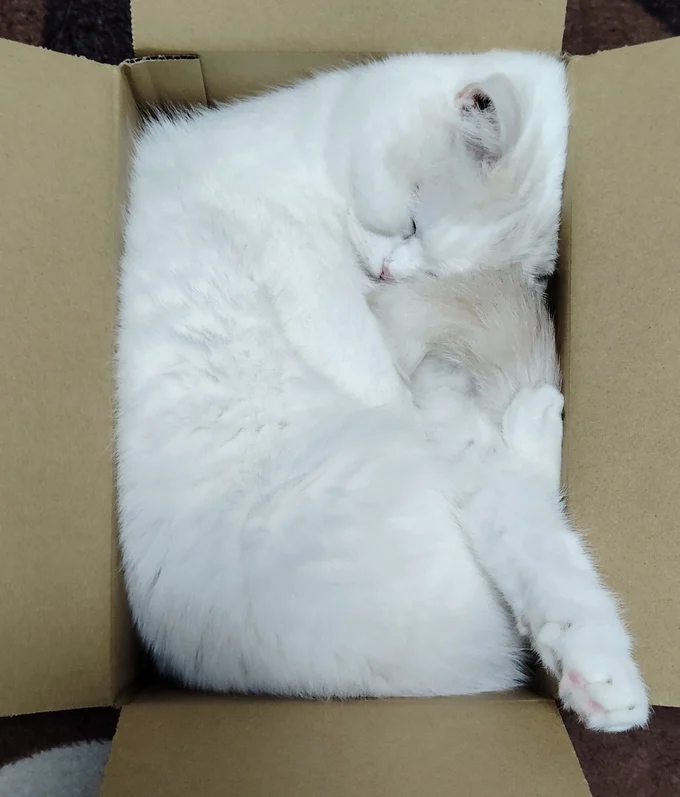 だんだん埋もれていってしまうのだそう▶お顔がちょっとずつ沈んでいきます（⇒次へ）