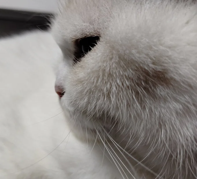 なんてかわいい横顔！！！▶おいしそうなシルエットに（⇒次へ）