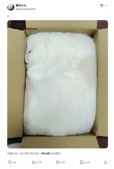 「□」と投稿されたポストです▶確かに□ですが、これは何？（⇒次へ）