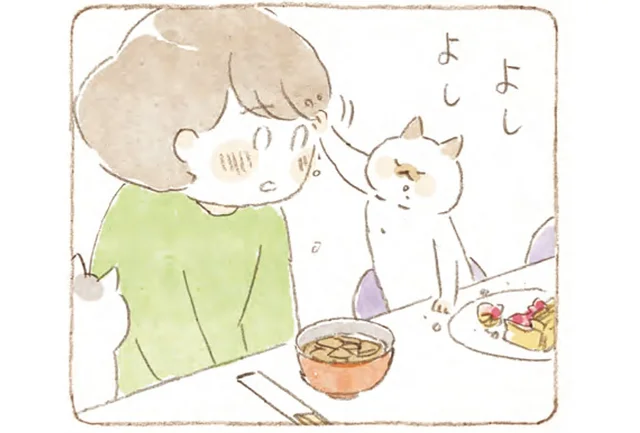 肉球が温かくて幸せ。「ダメダメじゃないにゃ」猫が集まる喫茶店で飲む八丁味噌のお味噌汁