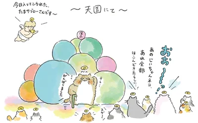 『天国での暮らしはどうですか』より