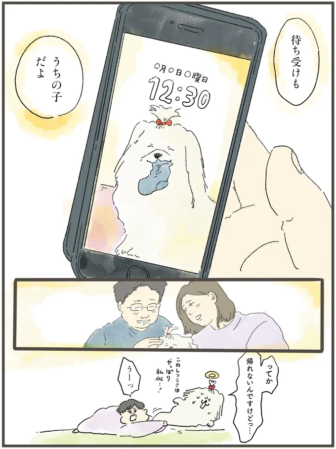 待ち受けもうちの子だよ