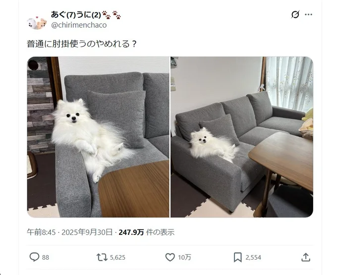 貫禄のあるうにちゃんの座り方▶中に人間が入っている⁉（⇒次へ）