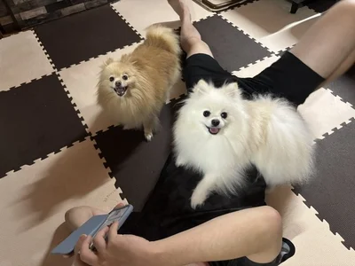 目線、いただきました！▶定期的に変な座り方をしているうにちゃん（⇒次へ）