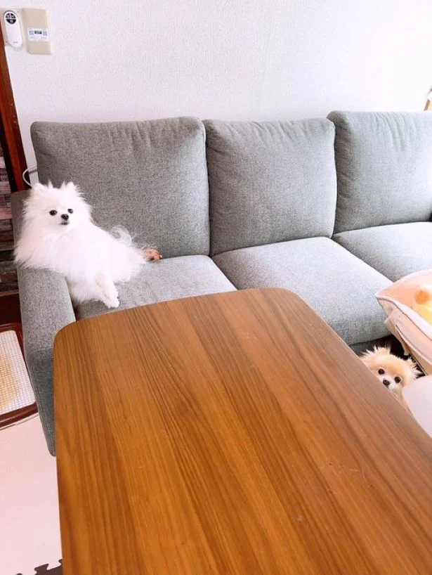 日常の一コマ▶貫禄もセクシーさもあります（⇒次へ）