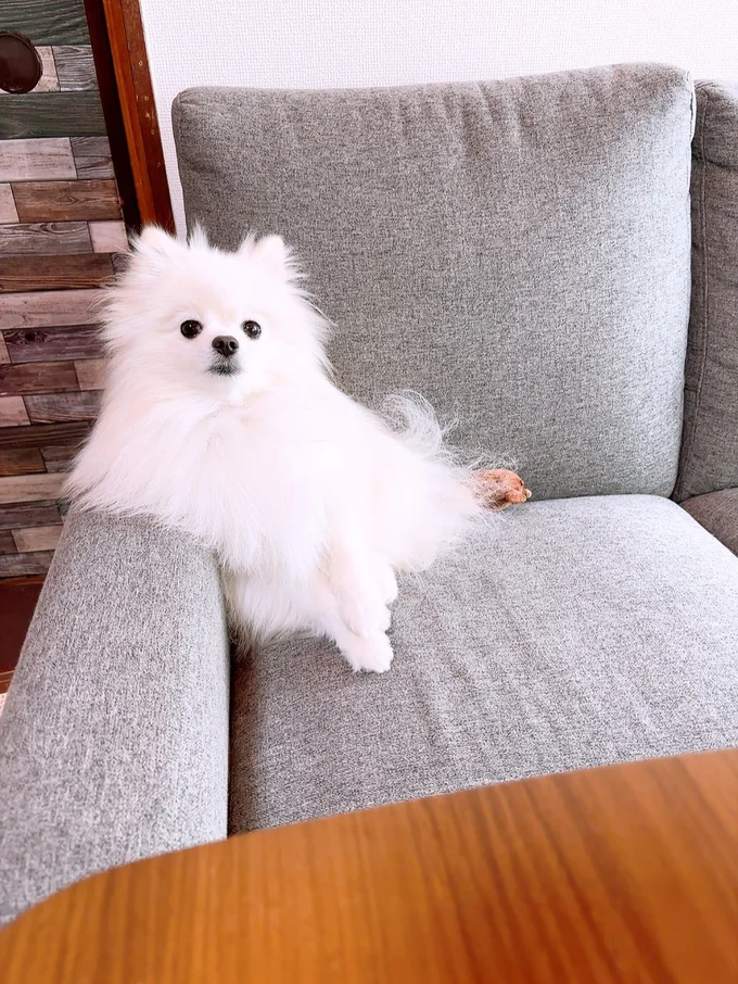 やっぱり、中に人間入ってる⁉▶お子さまとのツーショット（⇒次へ）