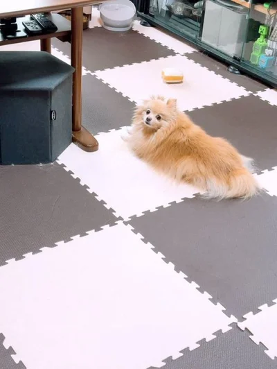 食パンのような色のあぐちゃん▶落ち着きのある姿です（⇒次へ）