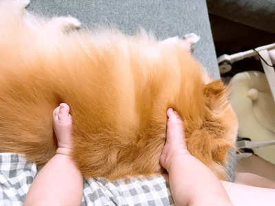 これは、マッサージ⁉▶見つめあう2匹（⇒次へ）