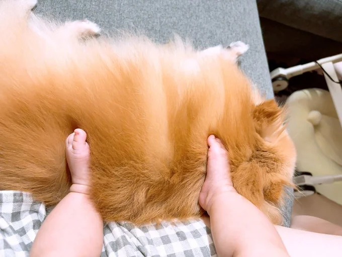 これは、マッサージ⁉▶見つめあう2匹（⇒次へ）