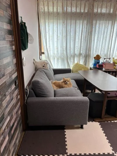 どういう状態⁉笑▶あぐちゃんはソファでリラックス（⇒次へ）