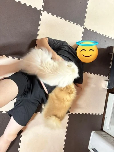 幸せな光景▶いい表情のうにちゃんとあぐちゃん（⇒次へ）