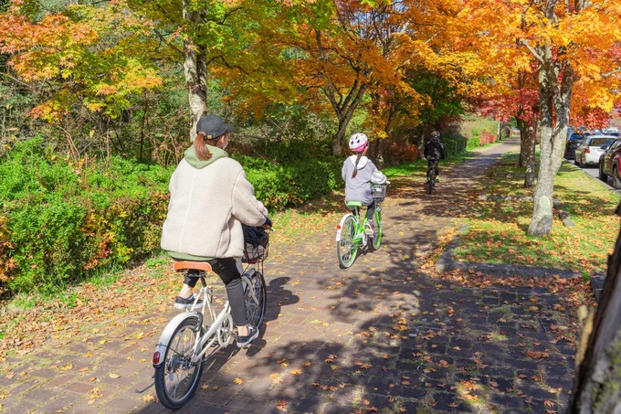子どもに自転車保険、ちゃんとかけてる？112万5千人による大規模アンケート結果を公開します！