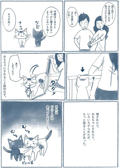 ビニールを食べてしまうこと