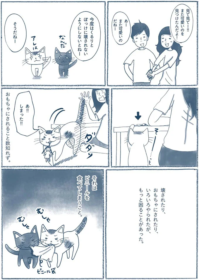 ビニールを食べてしまうこと