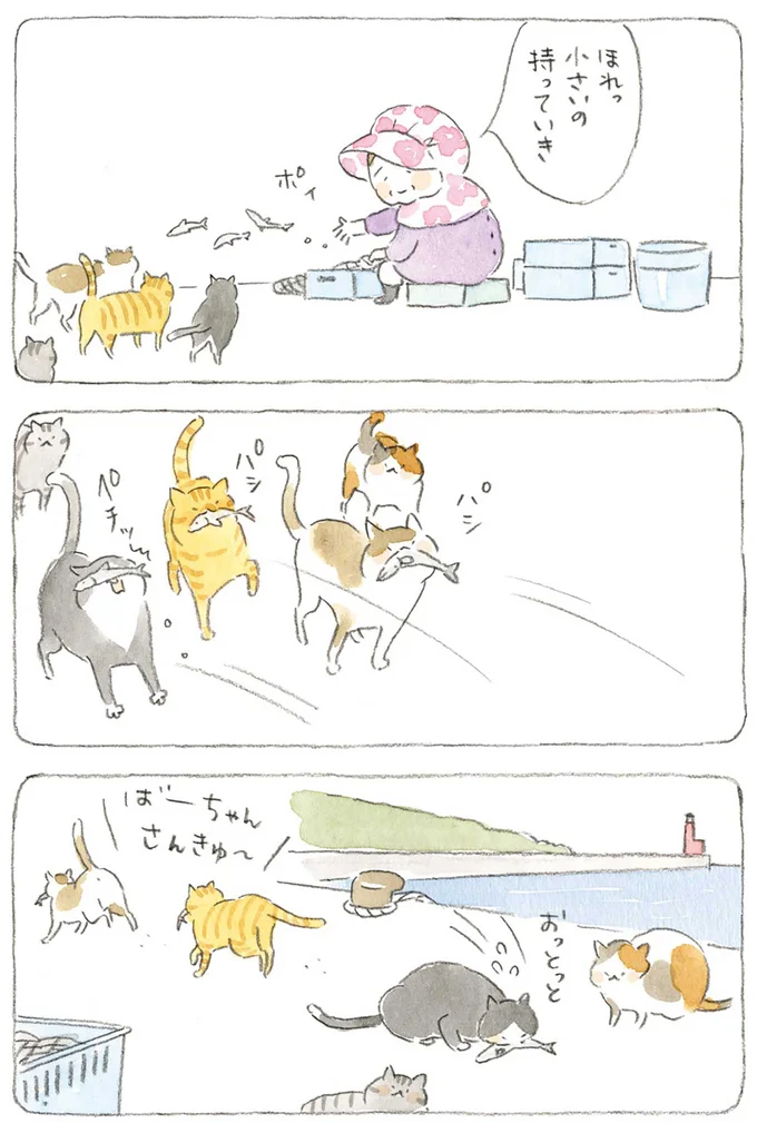 ばーちゃんさんきゅ~