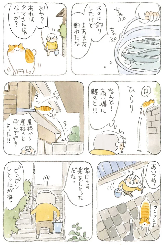 『ねことじいちゃん3』より