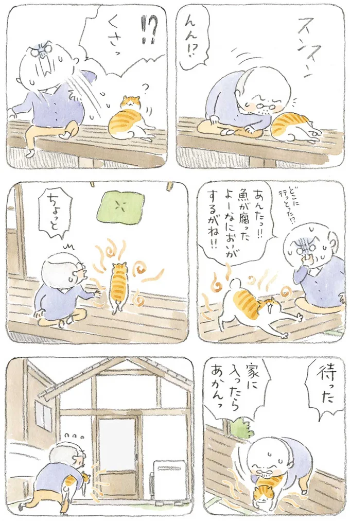 魚が腐ったよーなにおいがするがね！！
