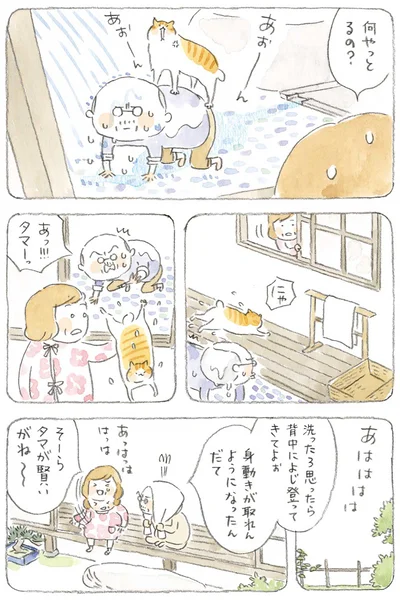 何やっとるの？