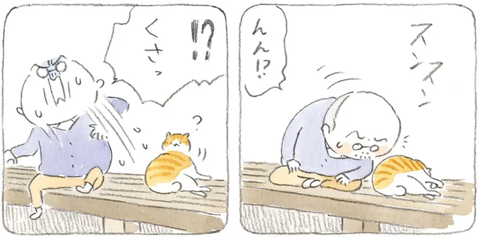散歩から帰ってきた猫がくさい！