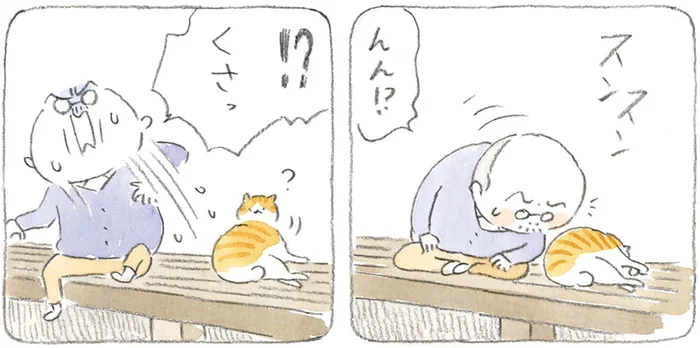 自由気ままな島内散歩から帰宅。なんだかにおう猫を洗いたいじいちゃん