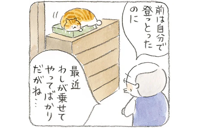 結末は予想外？年をとった猫を気遣う島暮らしのじいちゃん