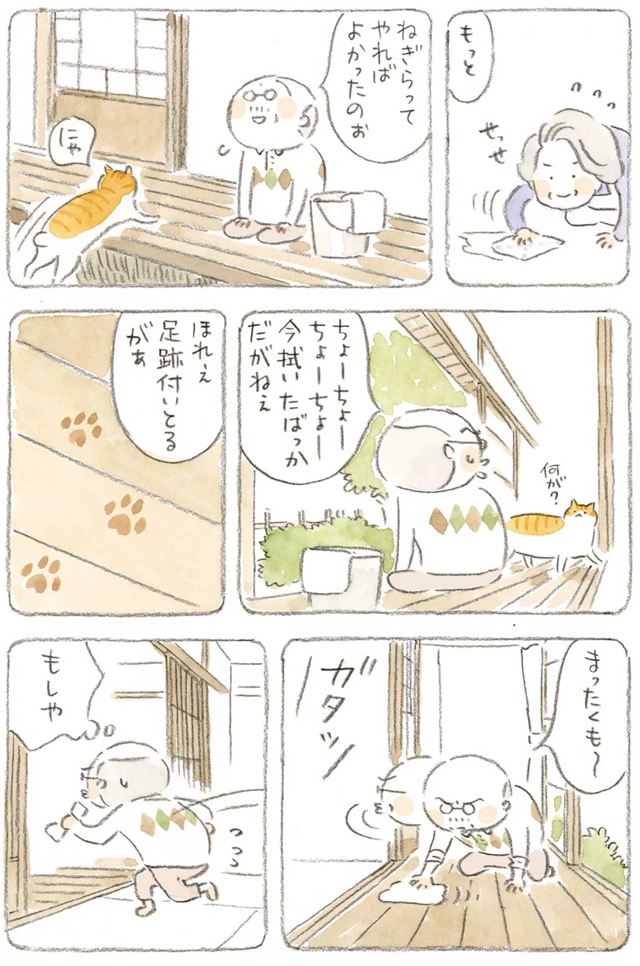 猫の気ままさには敵わない？朝の掃除に励むじいちゃん（画像5/10