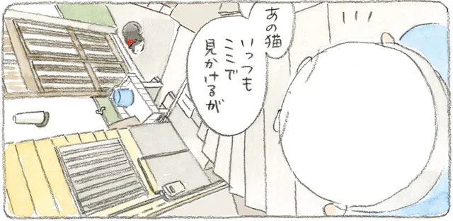 赤いリボンの島猫。見かけるのはいつも同じ場所