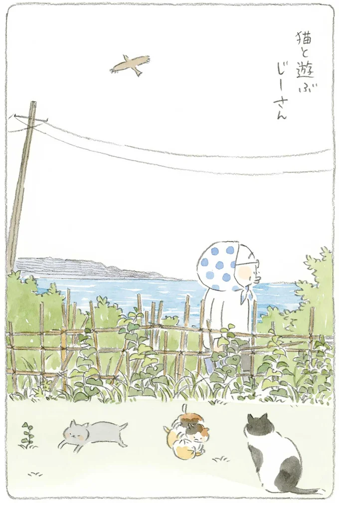 『ねことじいちゃん4』より