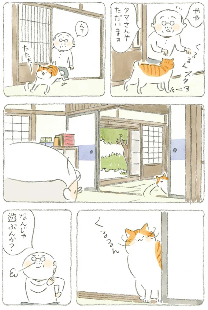 『ねことじいちゃん4』より