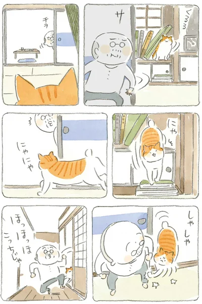 『ねことじいちゃん4』より