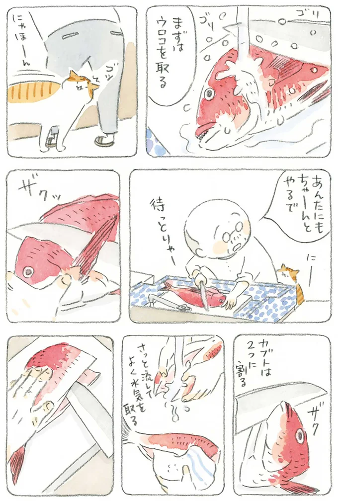 待っとりゃー