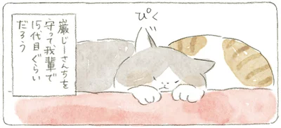 巌じーさんちを守って我輩で15代目ぐらいだろう