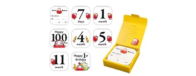 マンスリーカード15枚と専用ケース