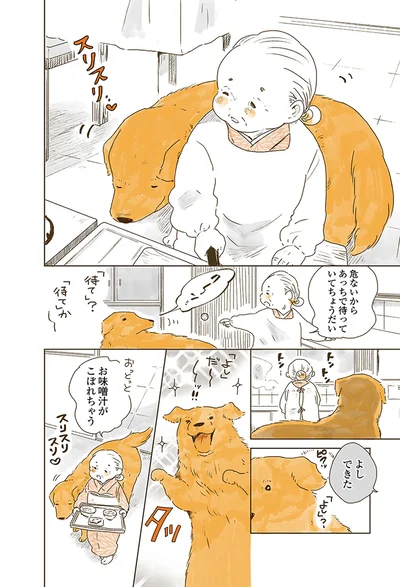 『姫ばあちゃんとナイト 』より