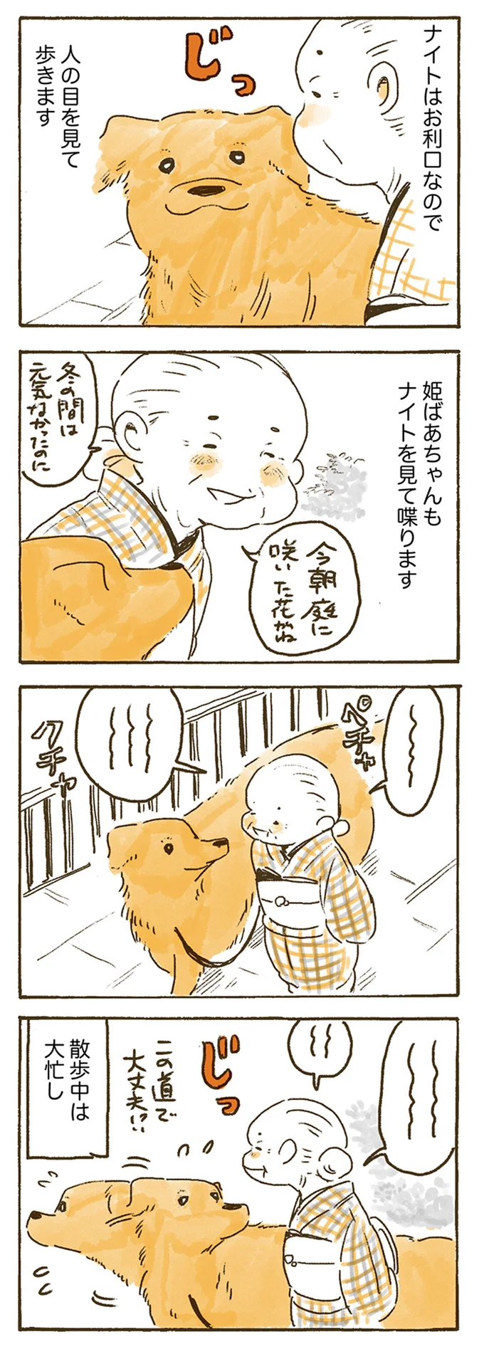 『姫ばあちゃんとナイト 』より