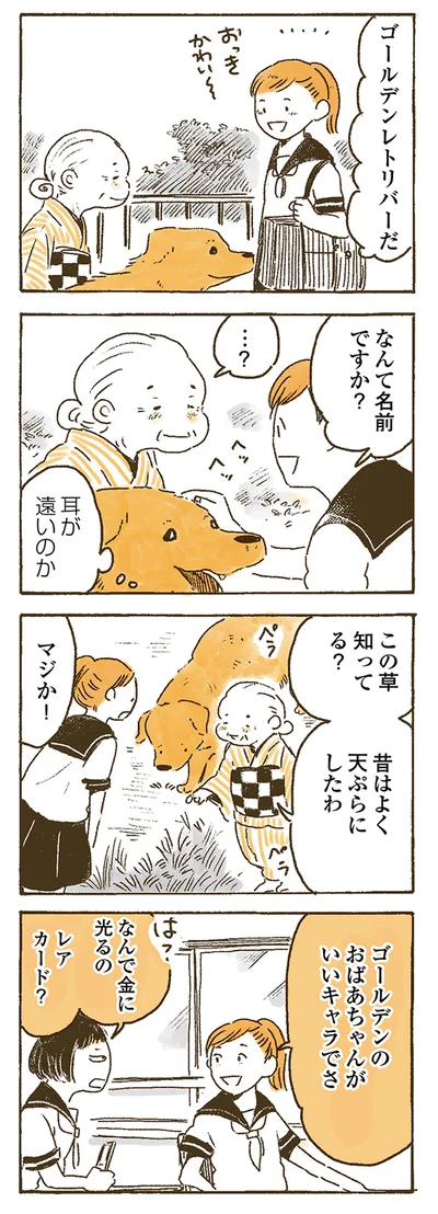 『姫ばあちゃんとナイト 』より