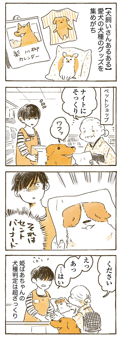 『姫ばあちゃんとナイト 』より