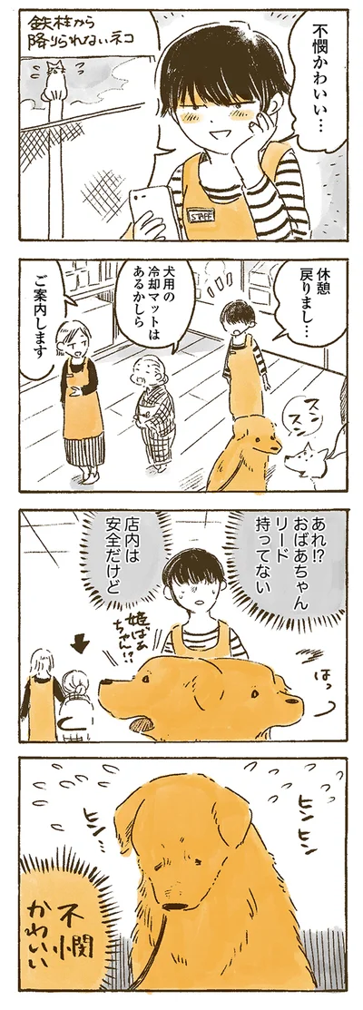 『姫ばあちゃんとナイト 』より