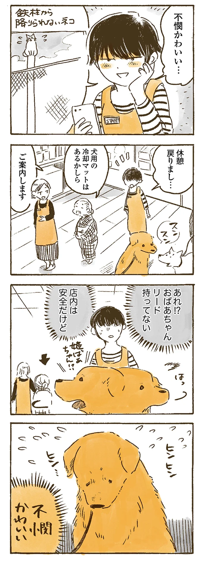 『姫ばあちゃんとナイト 』より