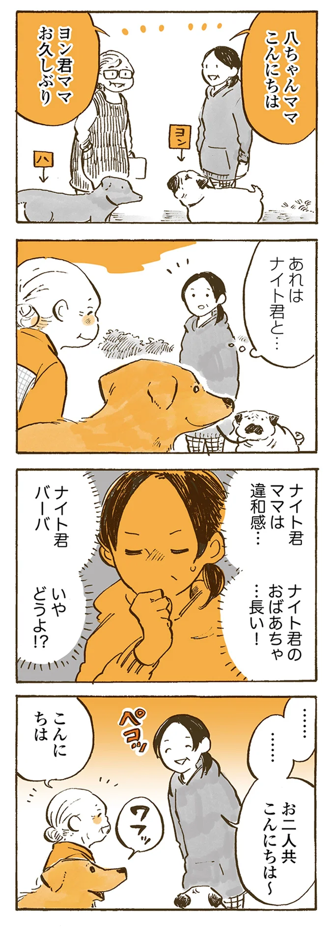 『姫ばあちゃんとナイト 』より