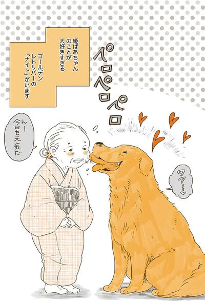 ゴールデンレトリバーの「ナイト」がいます