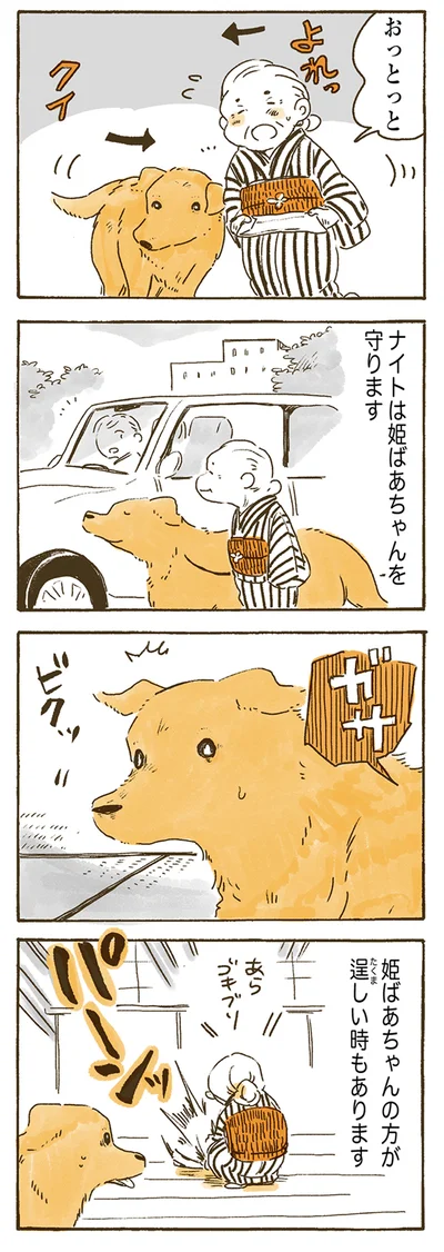 ナイトは姫ばあちゃんを守ります