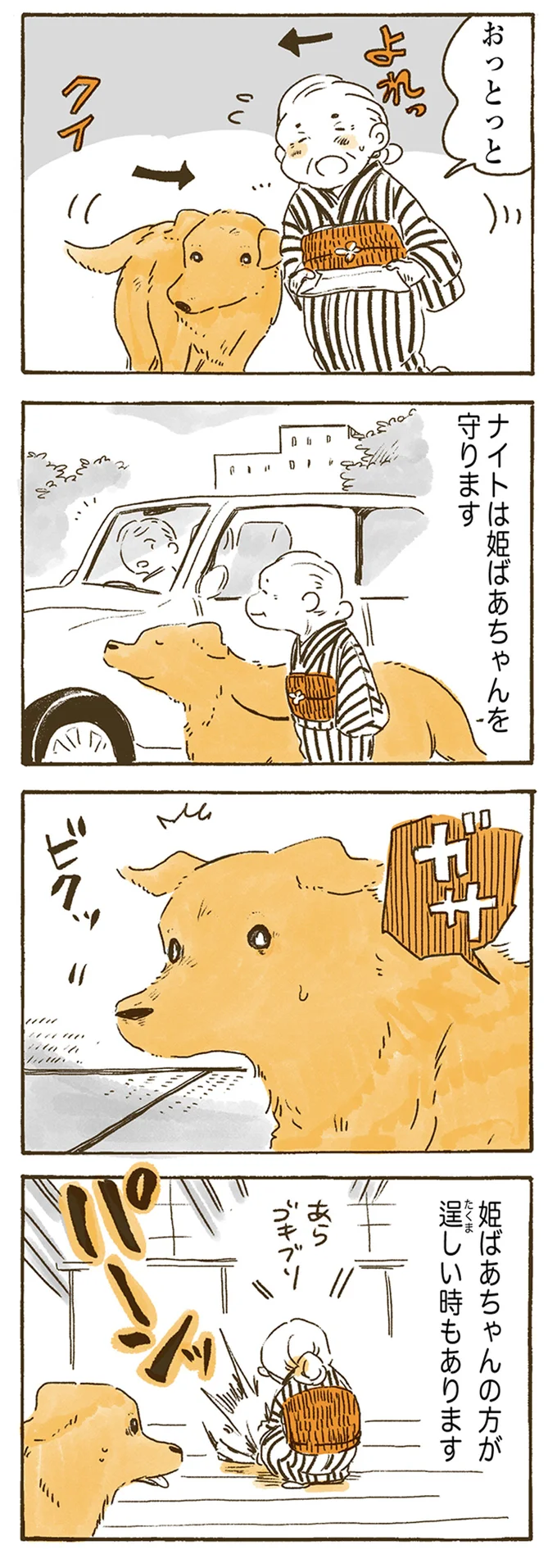 ナイトは姫ばあちゃんを守ります