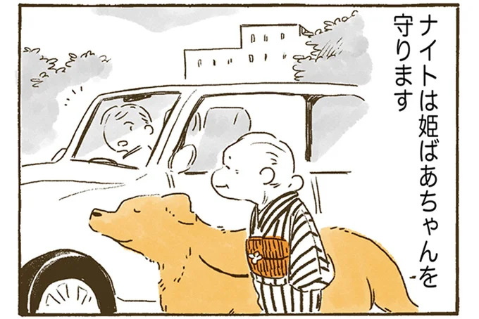 ナイトは姫ばあちゃんを守ります