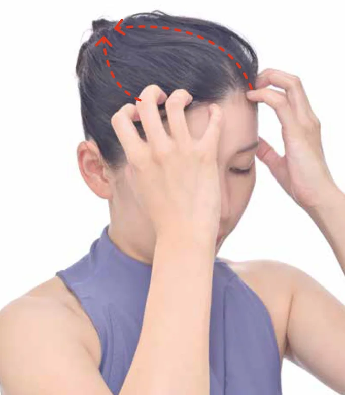 前頭部~頭頂部をなぞる