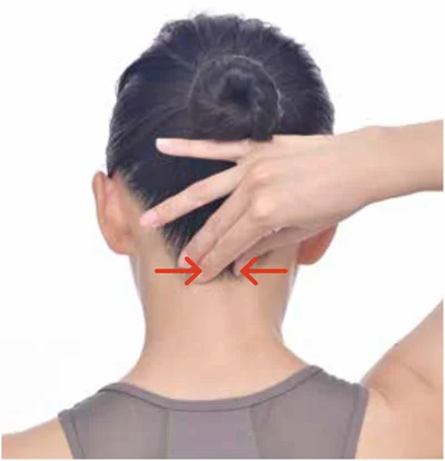 生え際まで寄せて引っ張る