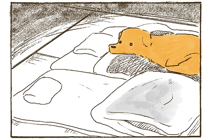 おばあちゃんがいない！？